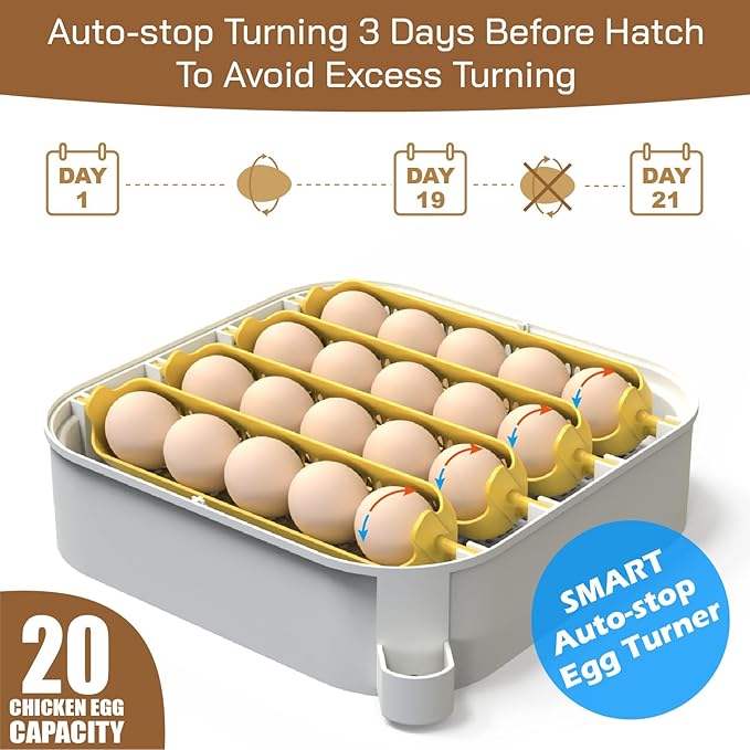 20-Egg Incubators