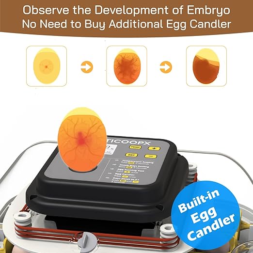 Built-in egg candler